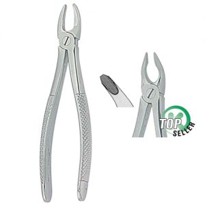 Extracting Forceps. English Pattern 1038