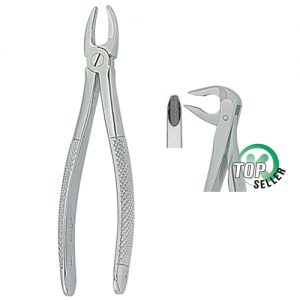 Extracting Forceps. English Pattern 1041