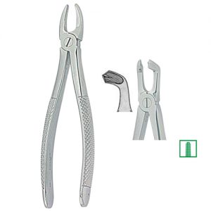 Extracting Forceps. English Pattern 1081
