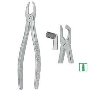 Extracting Forceps. English Pattern 1082