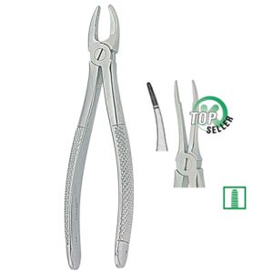 Extracting Forceps. English Pattern 1116