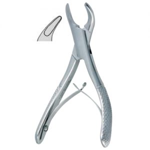 Extracting Forceps. American Pattern 1203