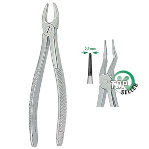 Extracting Forceps. English Pattern 1280