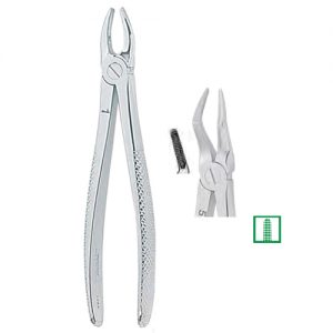 Extracting Forceps. English Pattern, Medium 1296