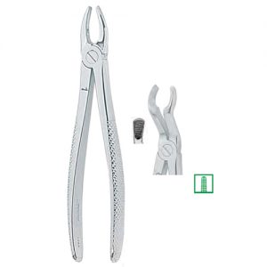 Extracting Forceps. English Pattern, Medium 1297
