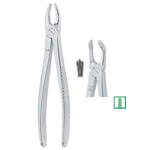 Extracting Forceps. English Pattern, Medium 1302