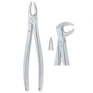 Extracting Forceps. English Pattern, Medium 1303