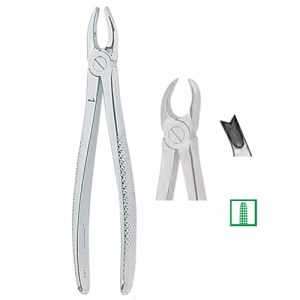 Extracting Forceps. English Pattern, Medium 1306