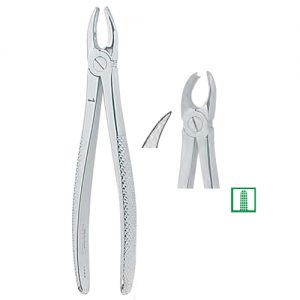 Extracting Forceps. English Pattern, Medium 1307