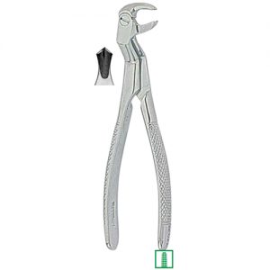 Extracting Forceps. English Pattern 1331