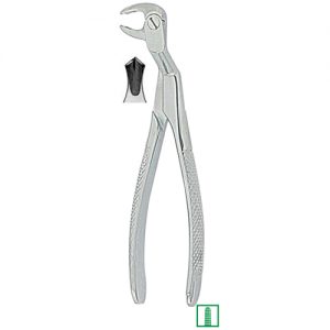 Extracting Forceps. English Pattern 1332