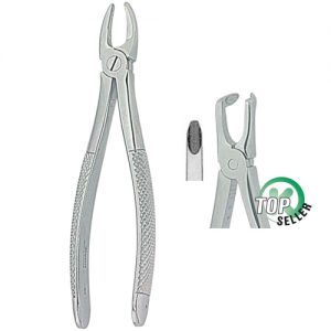 Extracting Forceps. English Pattern 1340