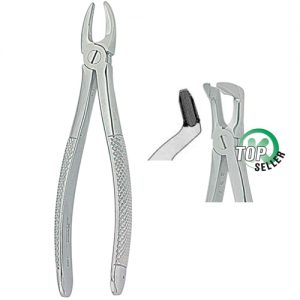 Extracting Forceps. English Pattern 1342