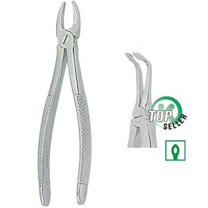 Extracting Forceps. English Pattern 1343