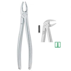 Extracting Forceps. English Pattern, Medium 1359