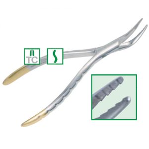 Root Forceps. American Pattern 2234