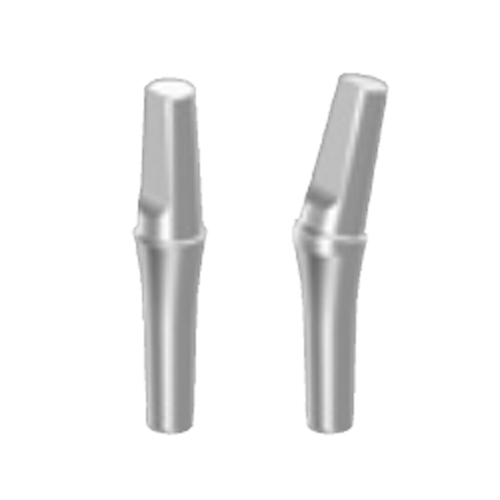 Titanium Abutments 1 Titanium Abutments